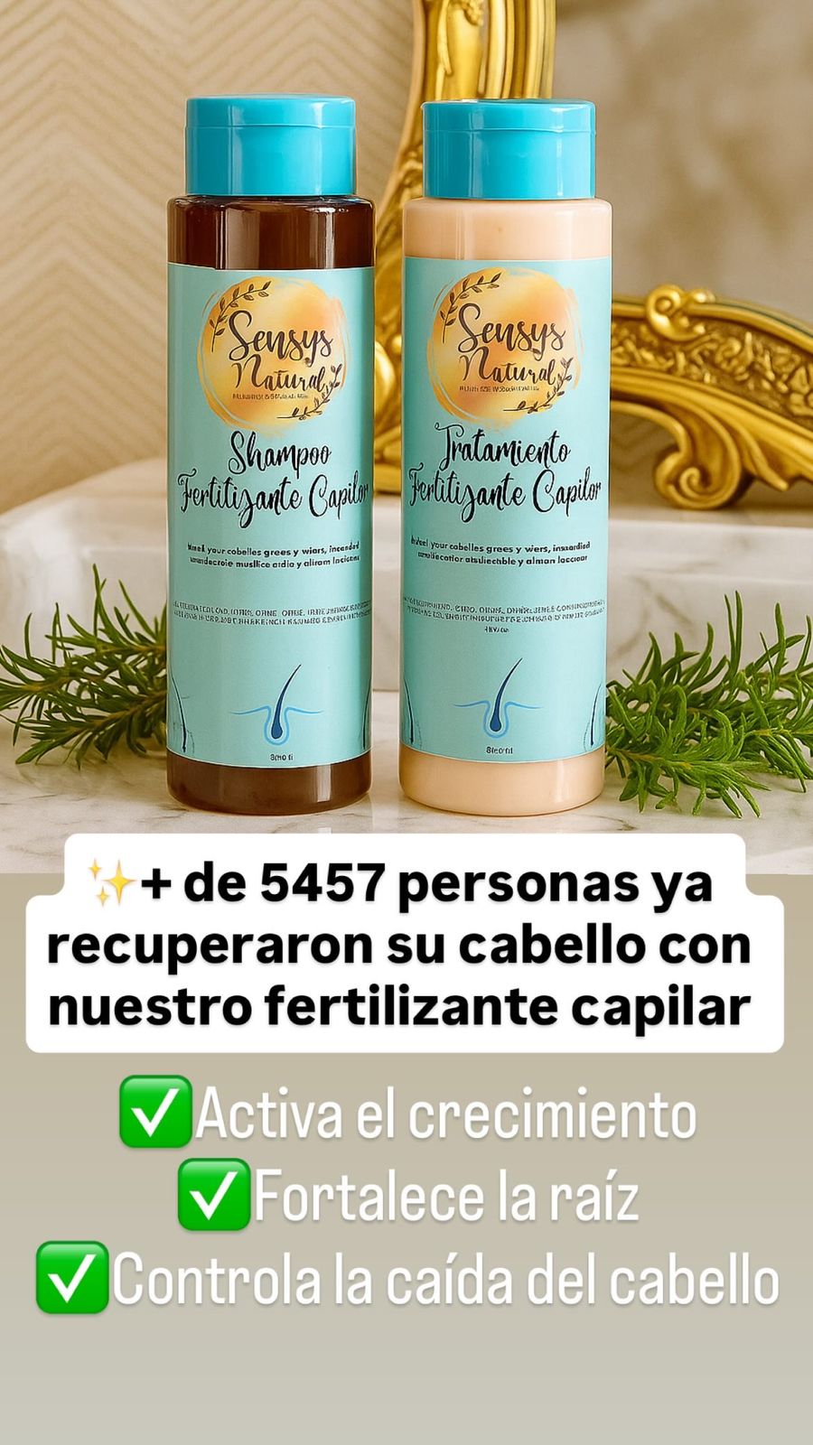 WhatsApp Image 2025-10-28 at 6.15.43 AM